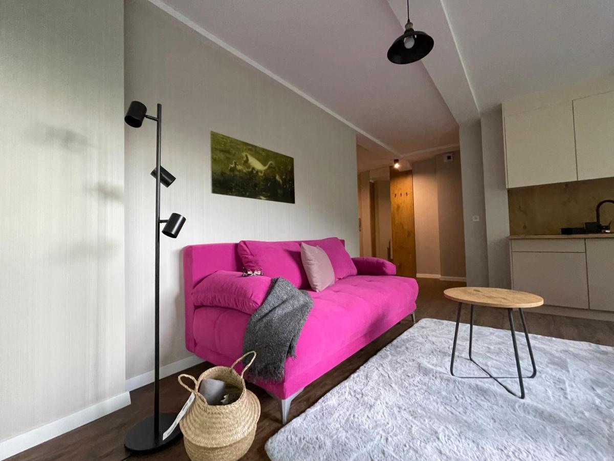 Apartament Kurort Kozubnik - Taras Nad Potokiem Porąbka المظهر الخارجي الصورة