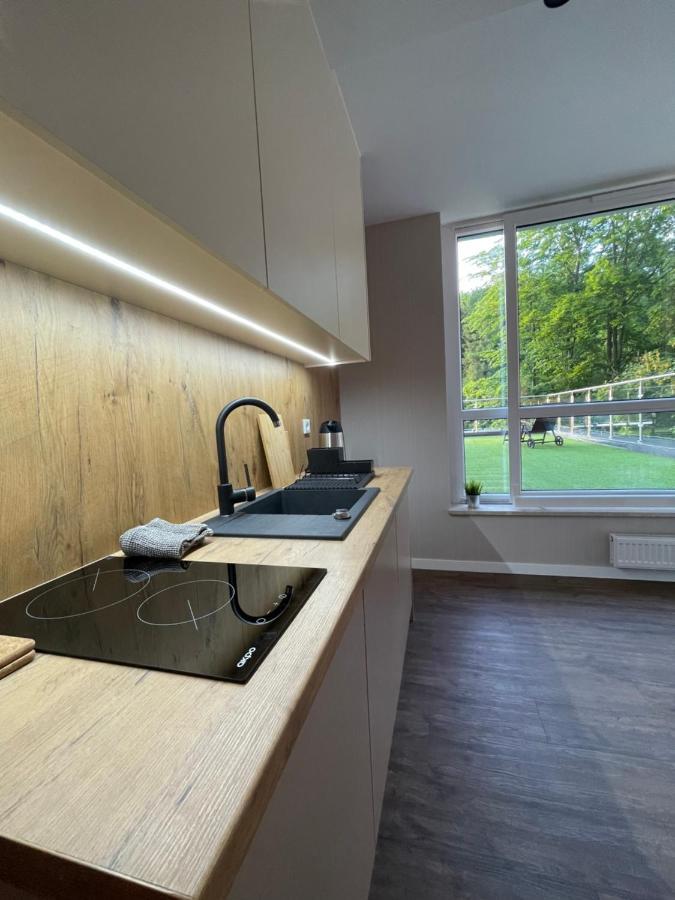 Apartament Kurort Kozubnik - Taras Nad Potokiem Porąbka المظهر الخارجي الصورة
