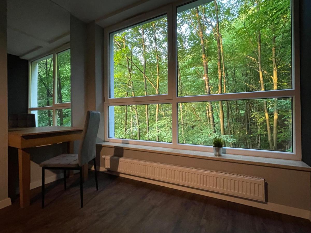 Apartament Kurort Kozubnik - Taras Nad Potokiem Porąbka المظهر الخارجي الصورة