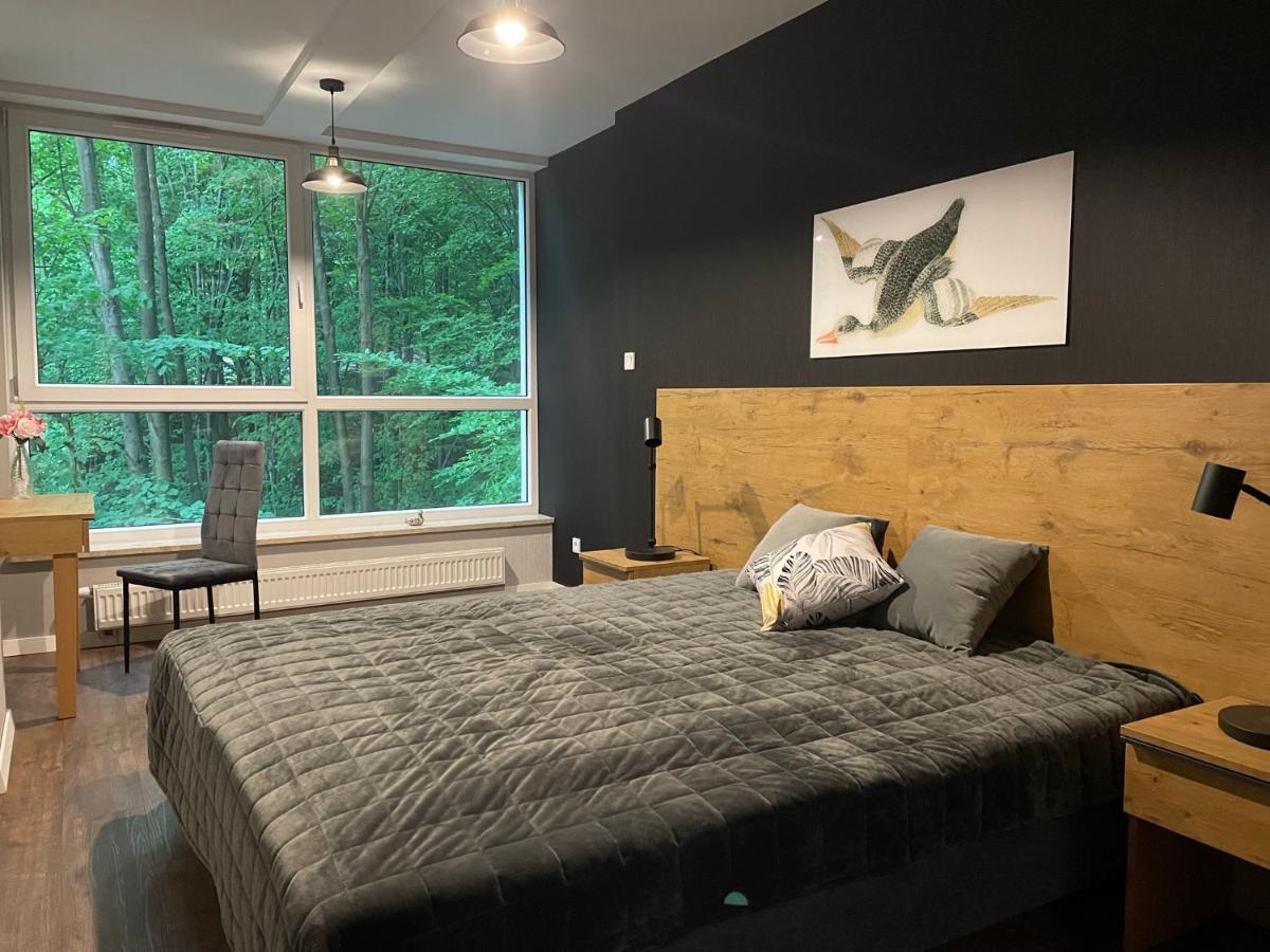 Apartament Kurort Kozubnik - Taras Nad Potokiem Porąbka المظهر الخارجي الصورة