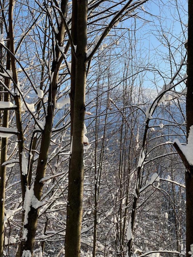 Apartament Kurort Kozubnik - Taras Nad Potokiem Porąbka المظهر الخارجي الصورة
