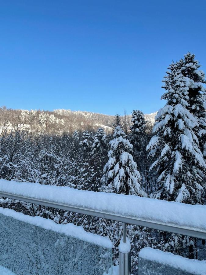 Apartament Kurort Kozubnik - Taras Nad Potokiem Porąbka المظهر الخارجي الصورة