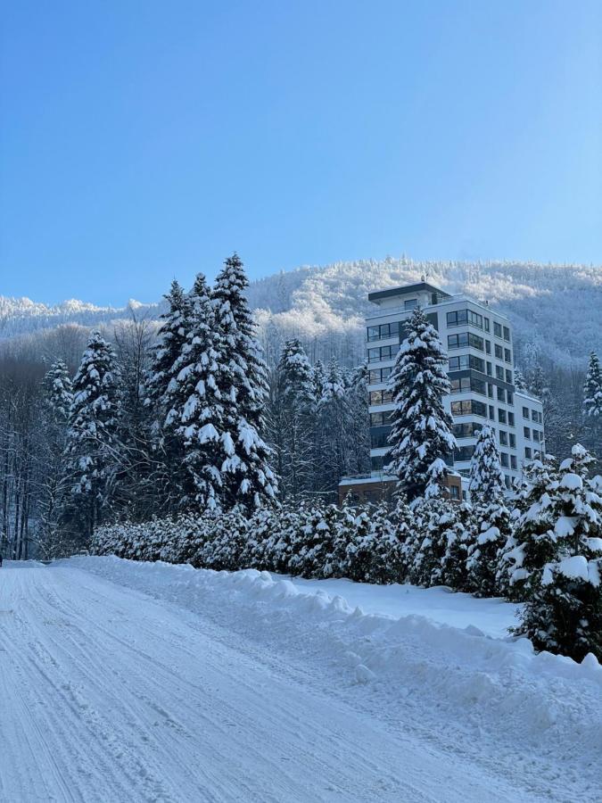 Apartament Kurort Kozubnik - Taras Nad Potokiem Porąbka المظهر الخارجي الصورة