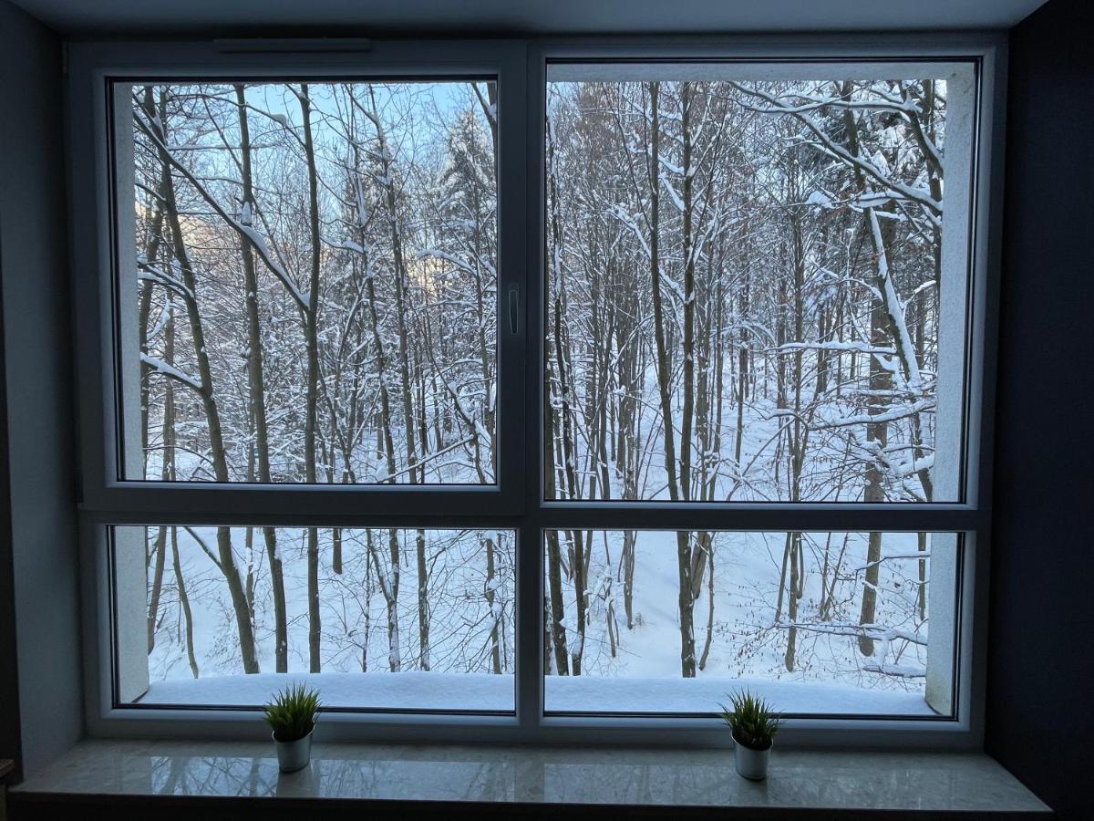 Apartament Kurort Kozubnik - Taras Nad Potokiem Porąbka المظهر الخارجي الصورة
