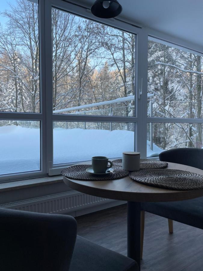 Apartament Kurort Kozubnik - Taras Nad Potokiem Porąbka المظهر الخارجي الصورة